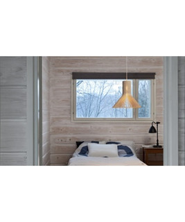  Puncto 4203 Pendel Birk